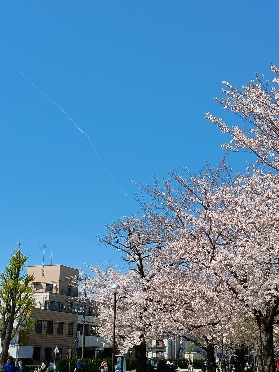 luckymama tweet media