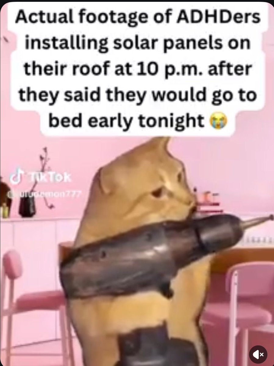 ADHD Memes tweet media