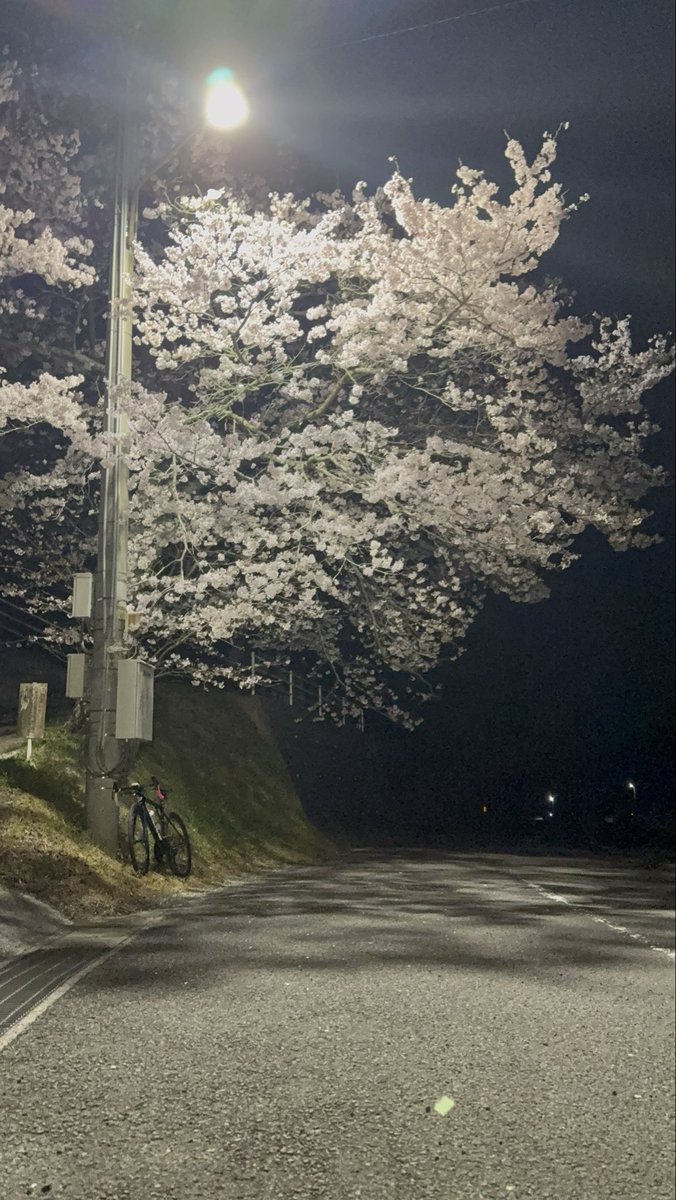 医)ムラシマ tweet media