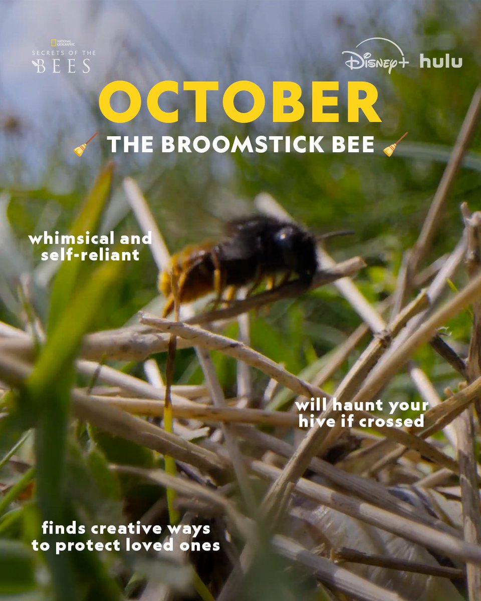 National Geographic tweet media