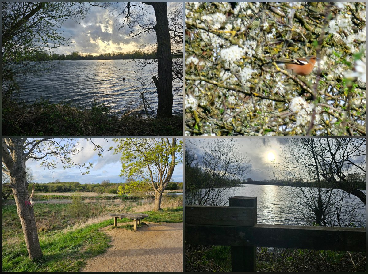 Bazz Army🦁6x5.8b Comp'd🏆60B+ XP tweet media