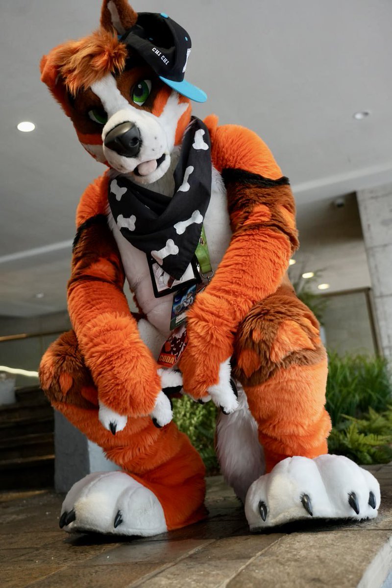 Coda (I'm That Dog!) tweet media