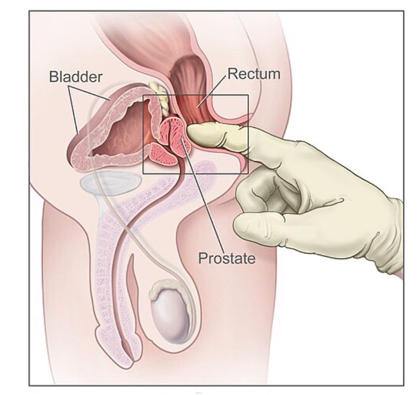 James Mathew Hird tweet media