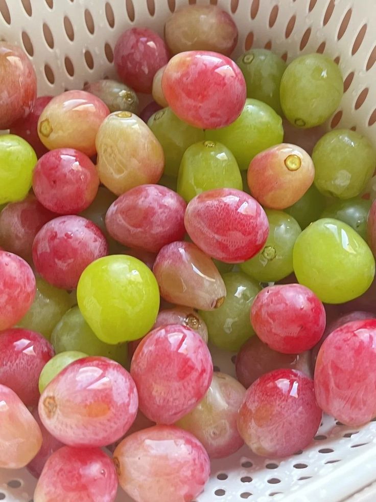 Flowers on earth (@ashu1248843) on Twitter photo 