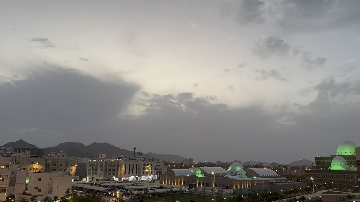 Hanan bedawi tweet media