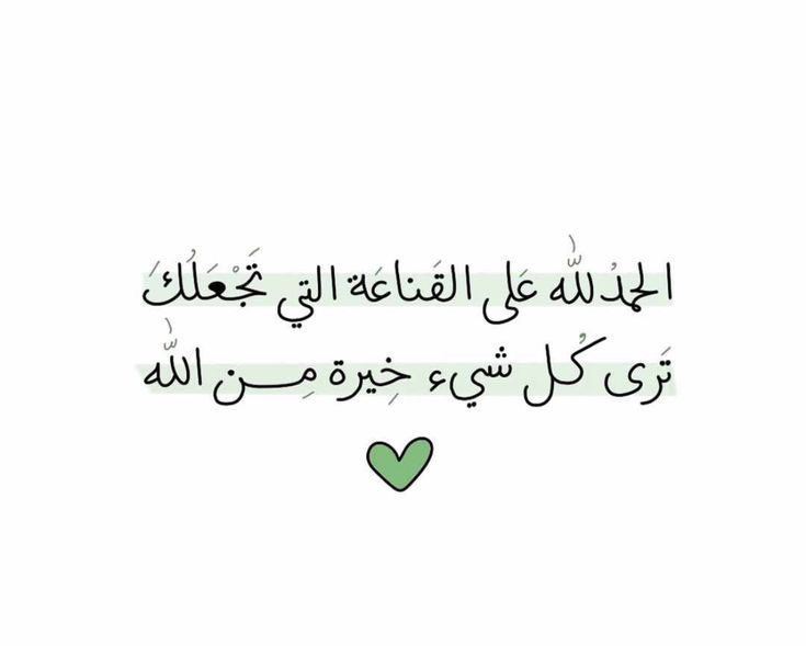 حكمة tweet media