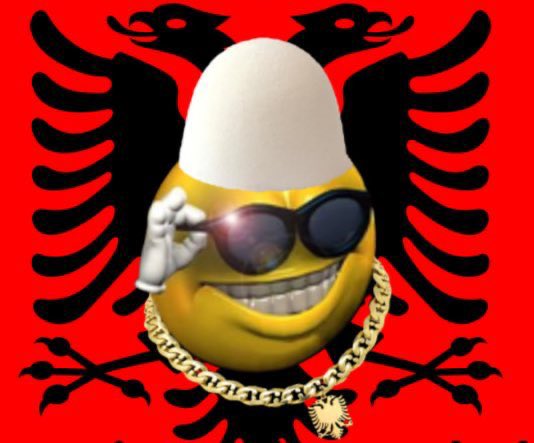 Guri Gashi tweet media