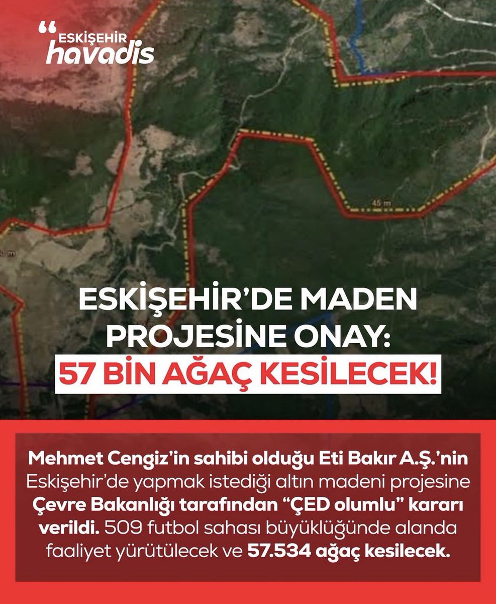 Prof. Dr. Bengi BAŞER tweet media