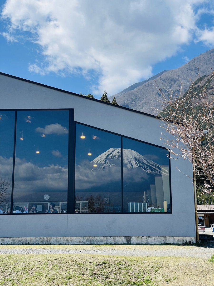 ぴよ。@桃 tweet media