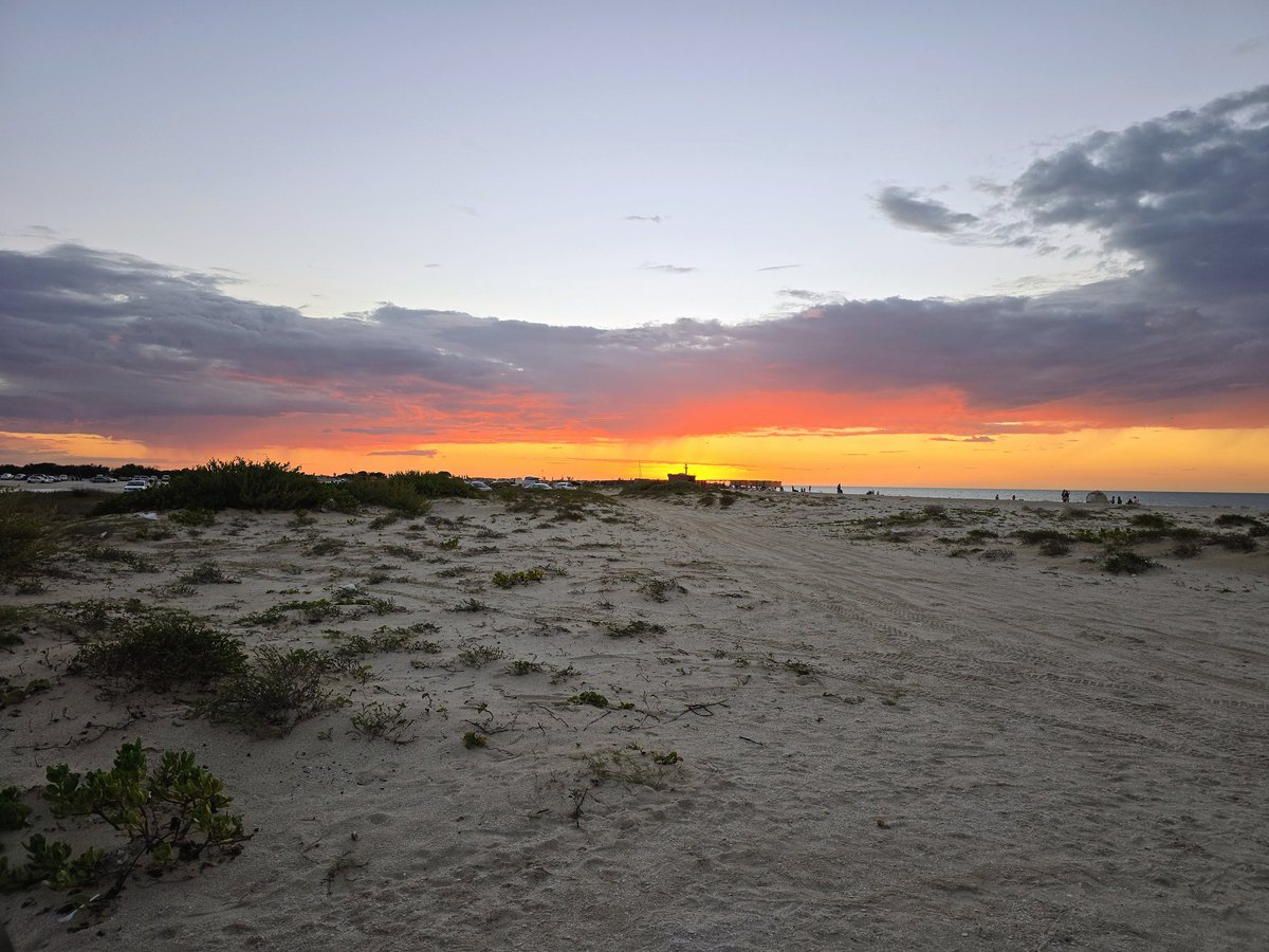 Dr. Clown, PhD tweet media