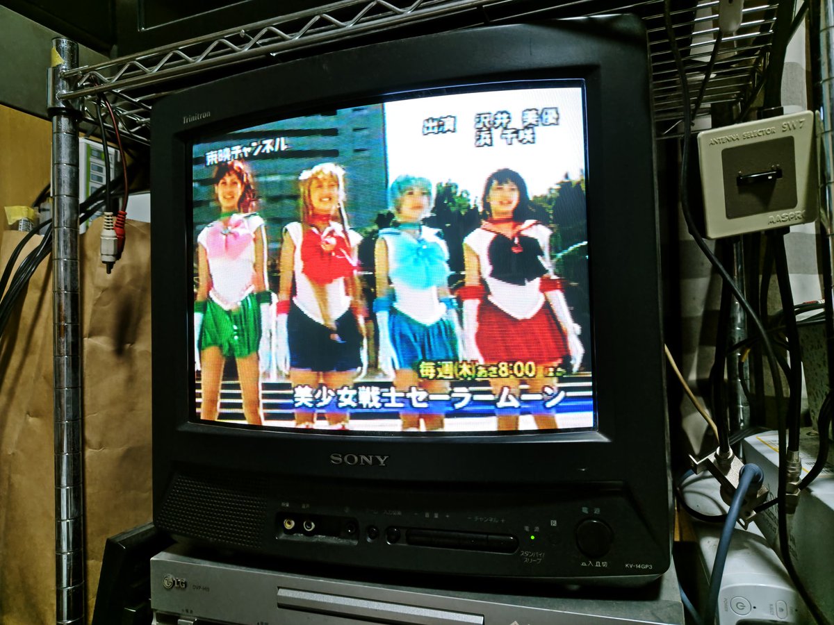 モーリー tweet media