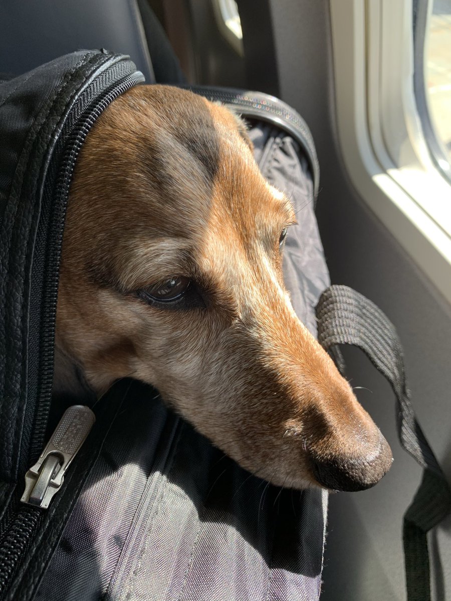 Mark Pellegrino tweet media