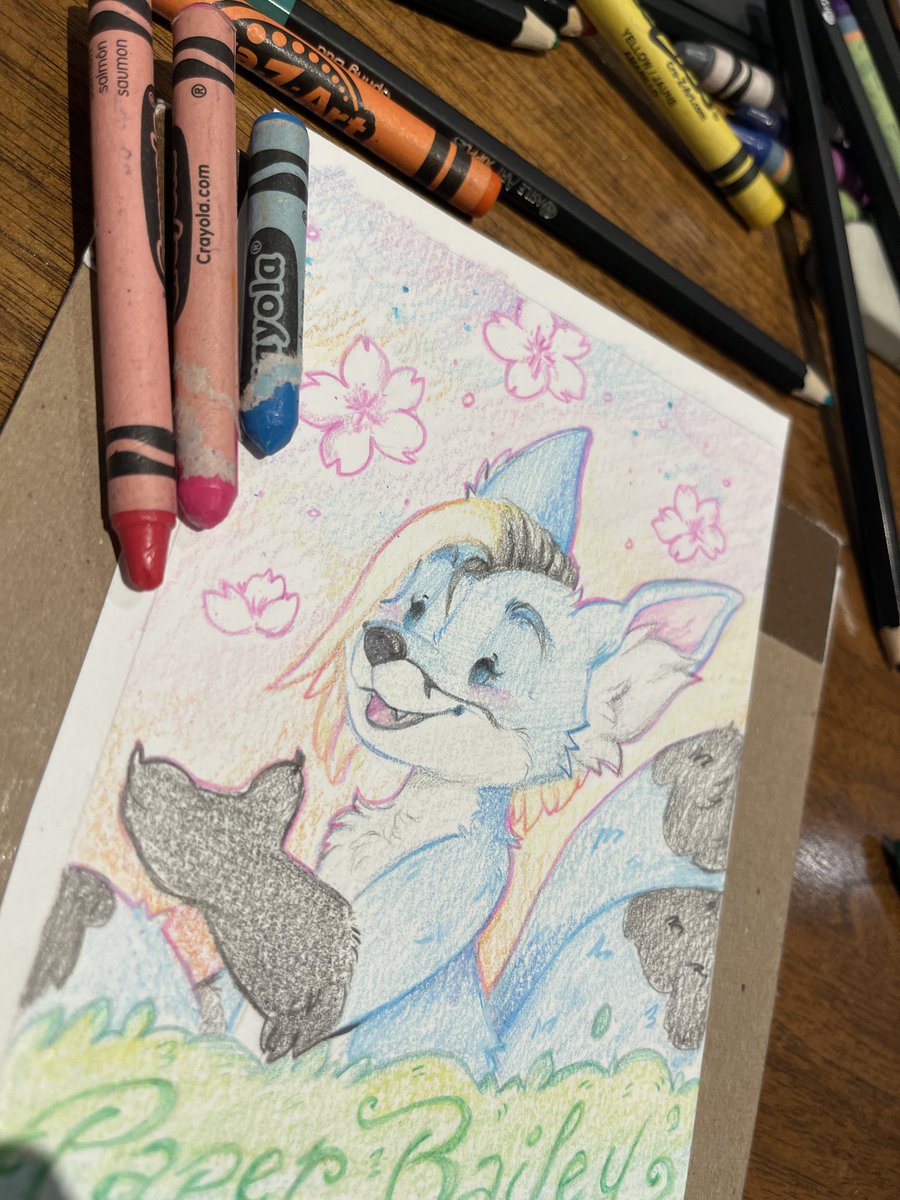 MADSHY BEWHISKERED AA tweet media