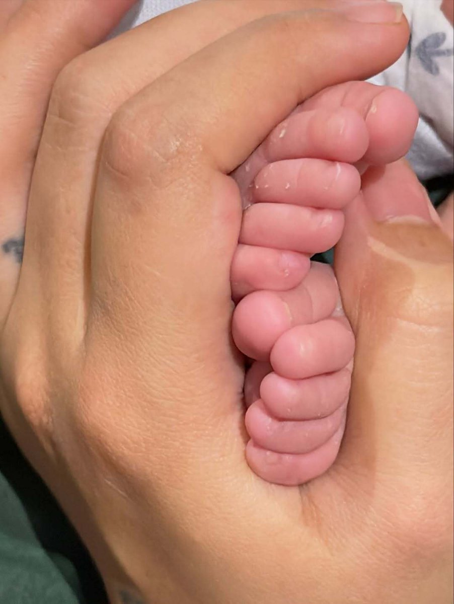 Pilipino Star Ngayon Digital tweet media