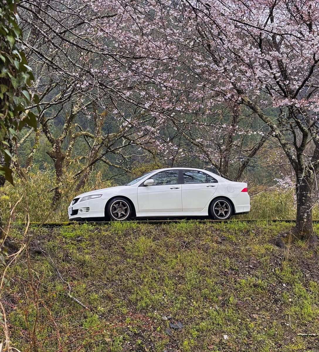 𝑺.𝑲_𝑬𝒖𝒓𝒐𝑹 tweet media