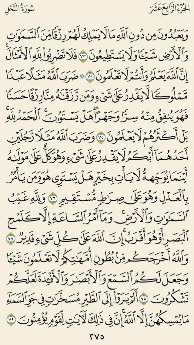 صفحةُ قرآن tweet media