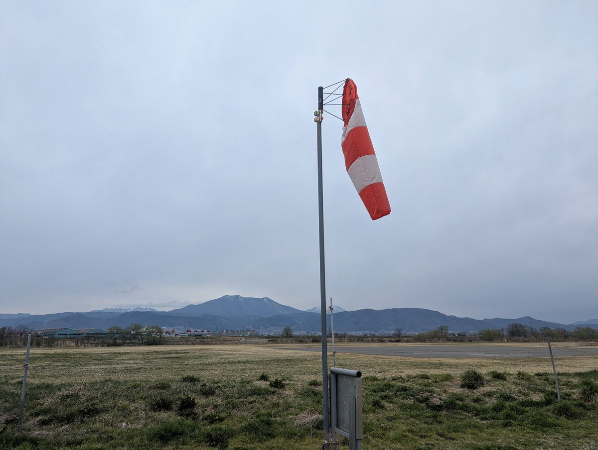 Seagull石山 tweet media