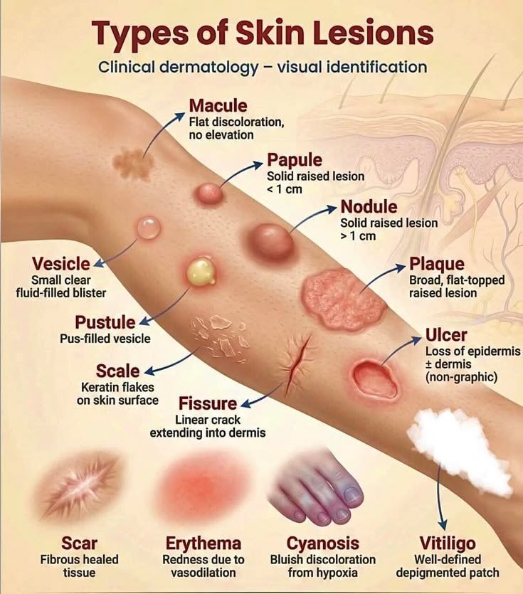 English speaking classes tweet media