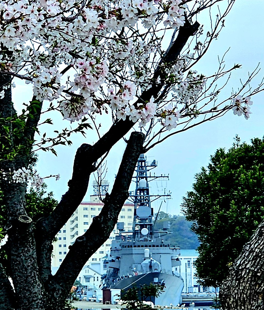 MICHIYA MURATA tweet media