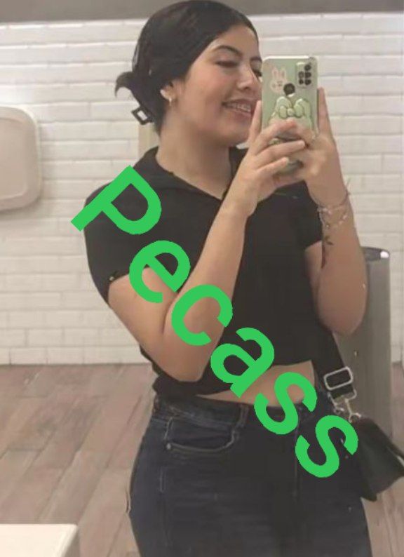 Pecass098 tweet media