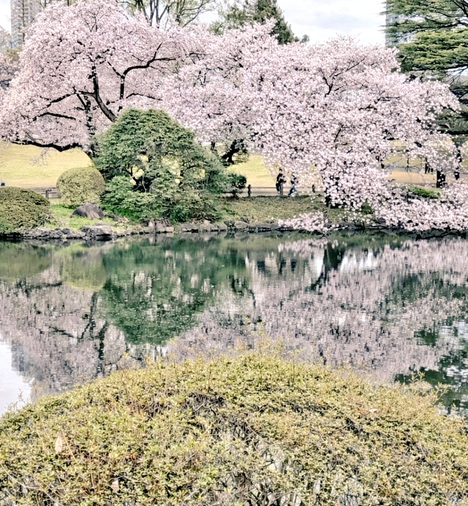 ガジュ tweet media