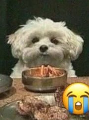 Lyn-z🍓~0 days binge free tweet media