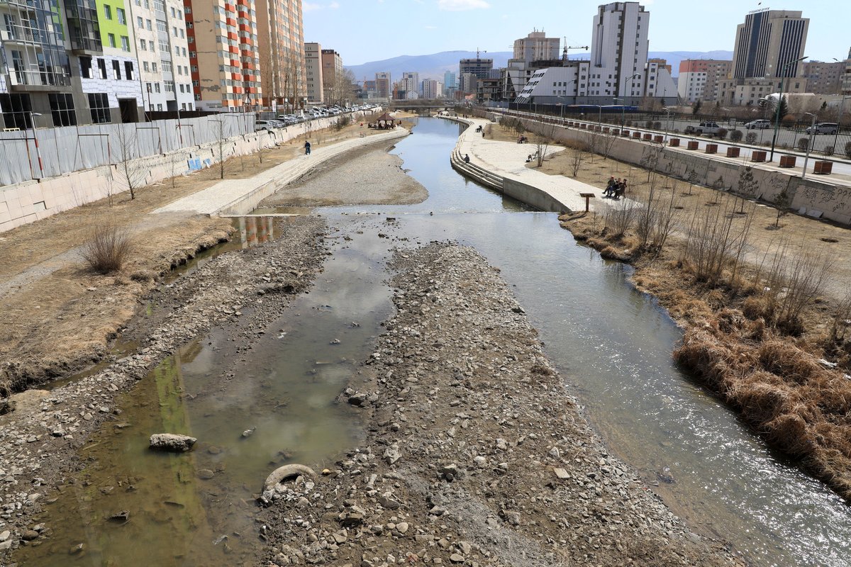 Zaya*Polyglot tweet media