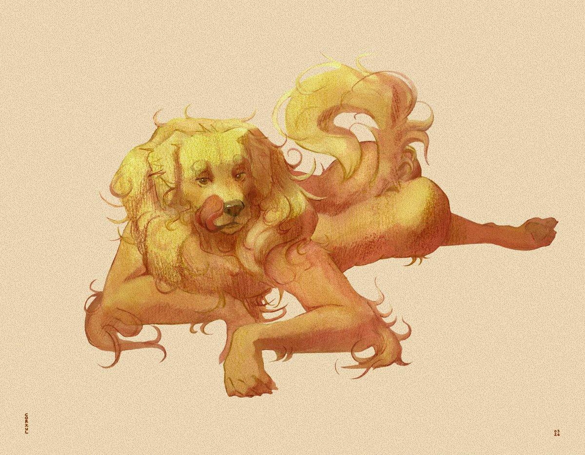 Corxul ✷ tweet media