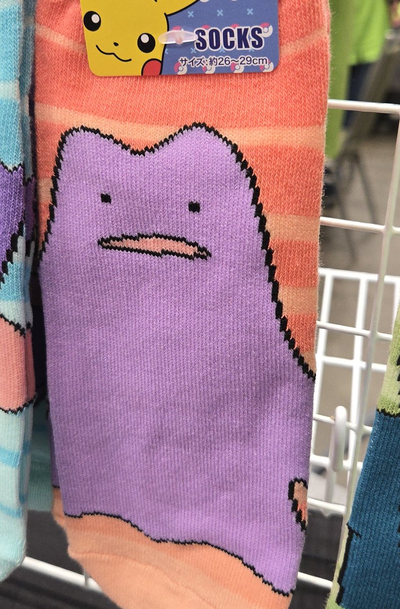 Sydney 🔜 PKMN Orlando Regionals tweet media