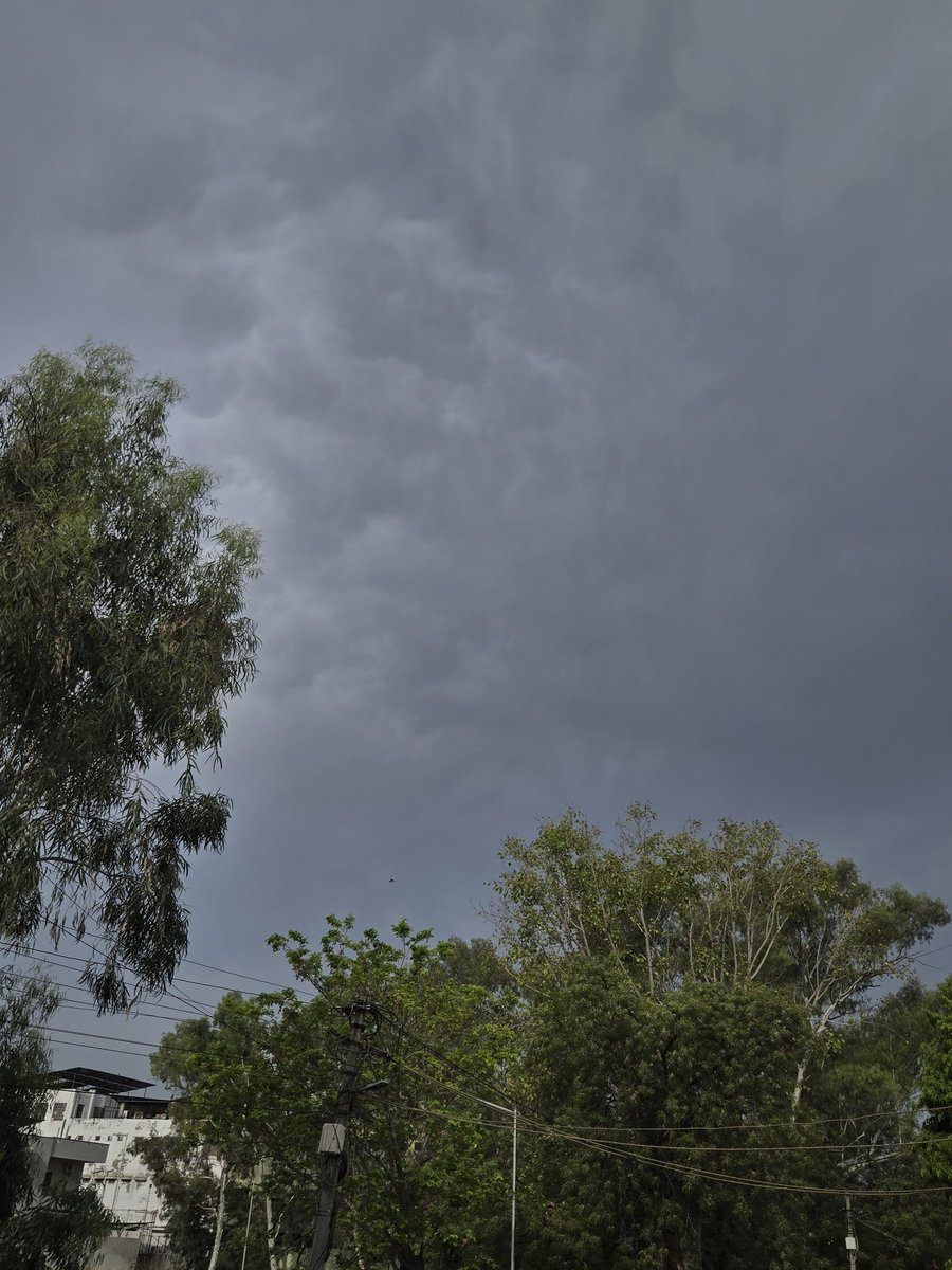 Richu Jain 💫 tweet media