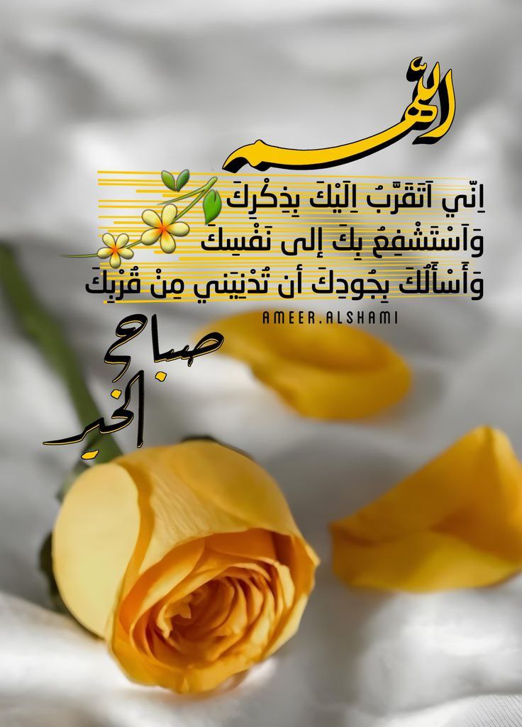 فاطمة عبدالعزيز 🇸🇦 tweet media