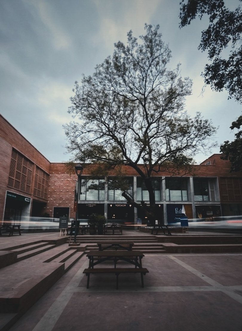 Bobby Roy tweet media