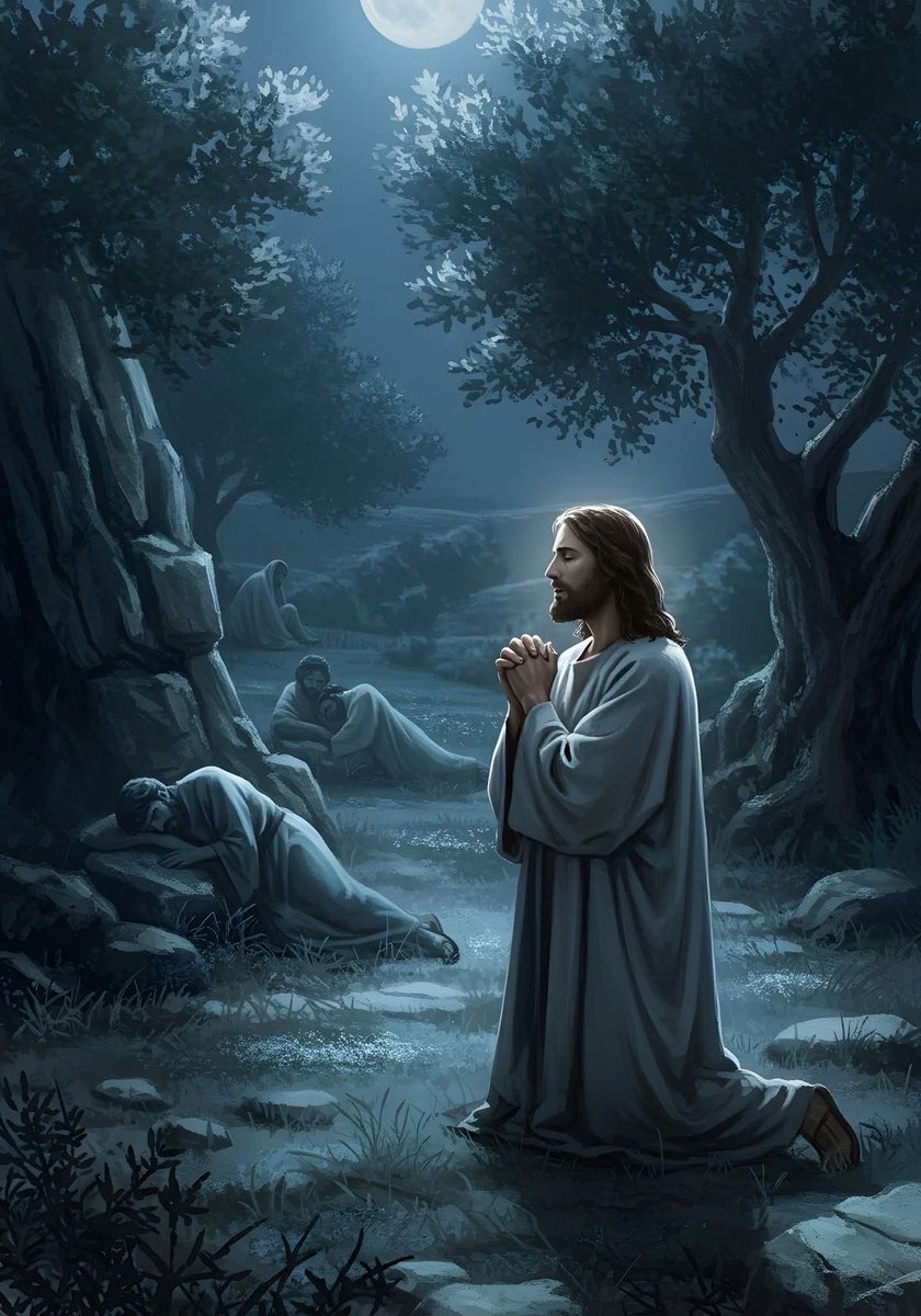 Catholic Quotes tweet media