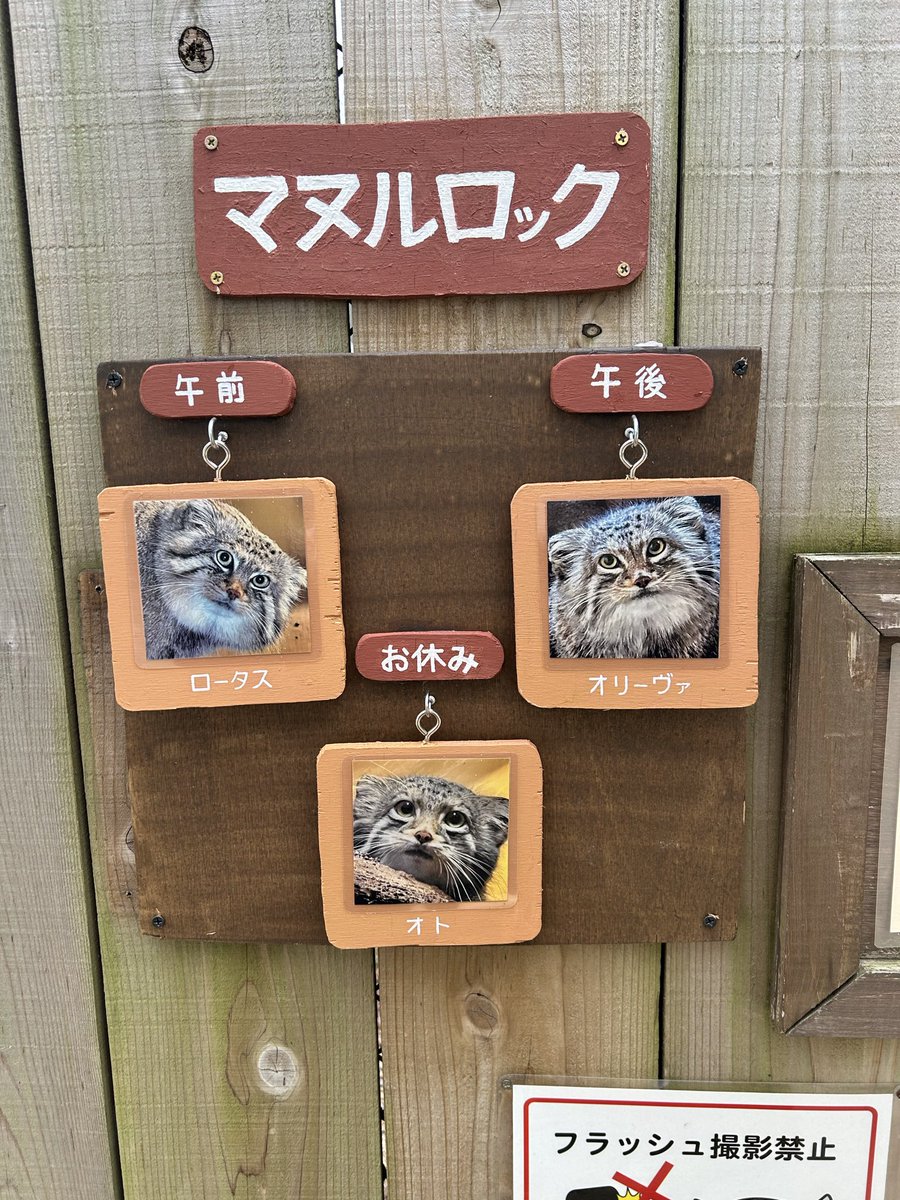 きなこ📦 tweet media