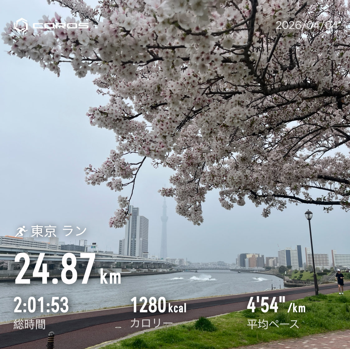 ささゆー tweet media