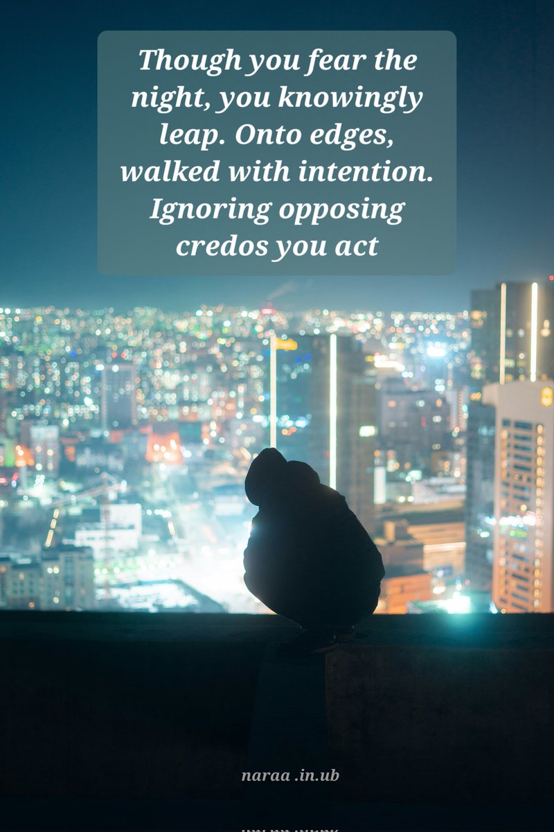 Morgan R.R. Haze tweet media