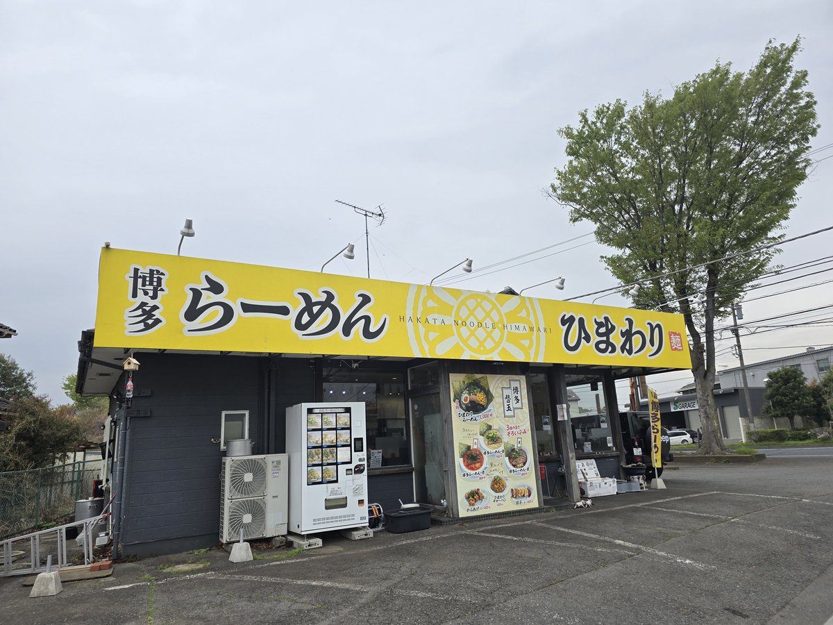 メディシンマン tweet media