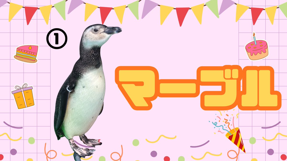 寺泊水族博物館【公式】 tweet media