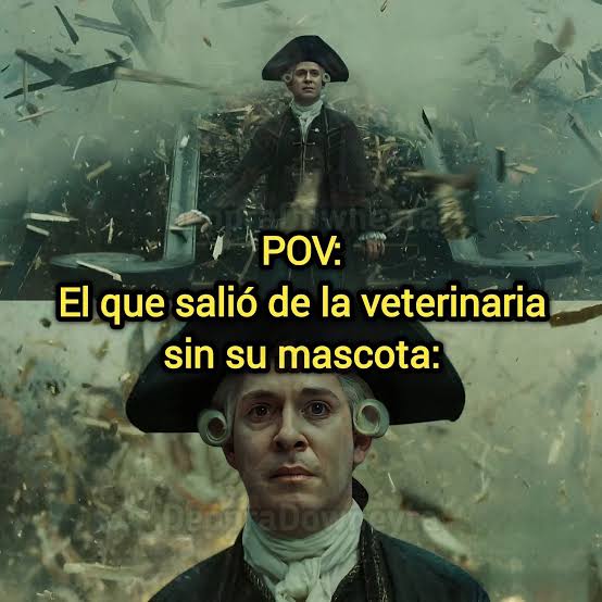 Animalitos en aprietos. tweet media