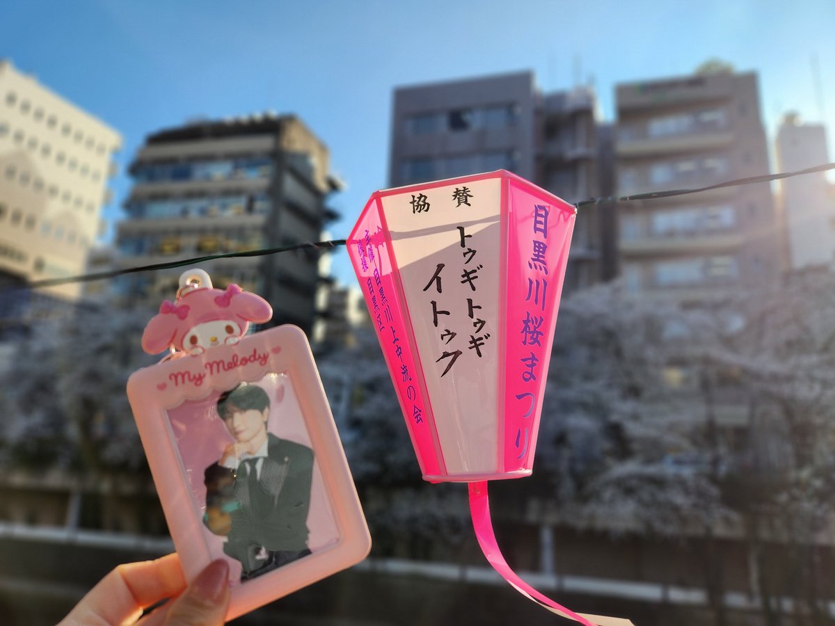 ミキ(超・低浮上🐥) tweet media