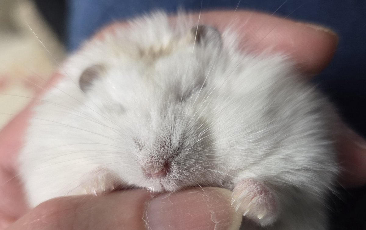 まーちゃんねる tweet media