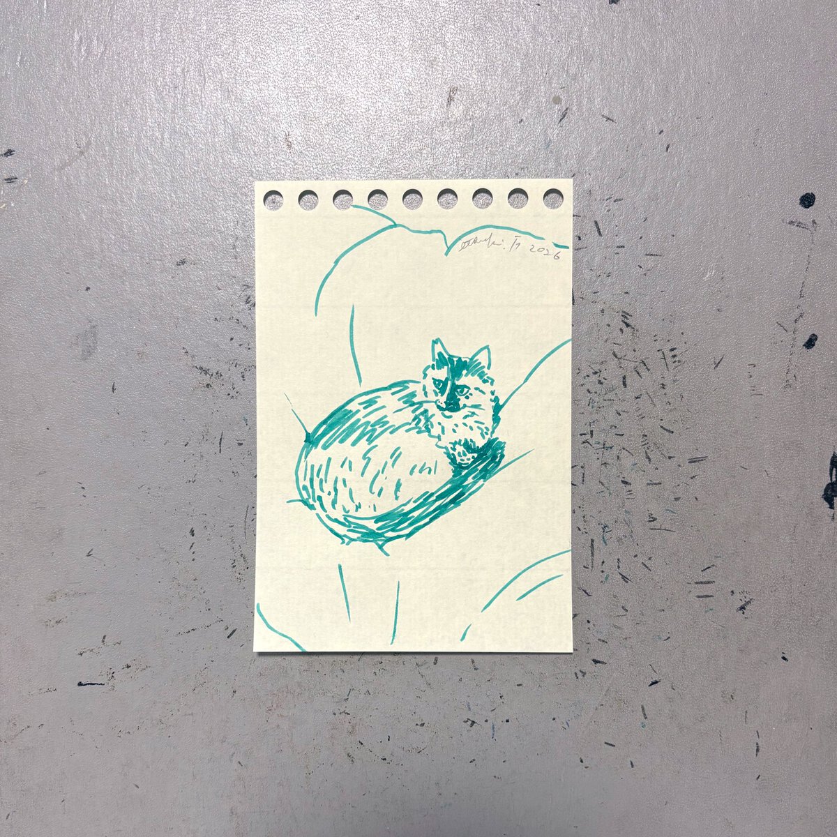 "羽毛布団の上でおくつろぎのちー子さん"