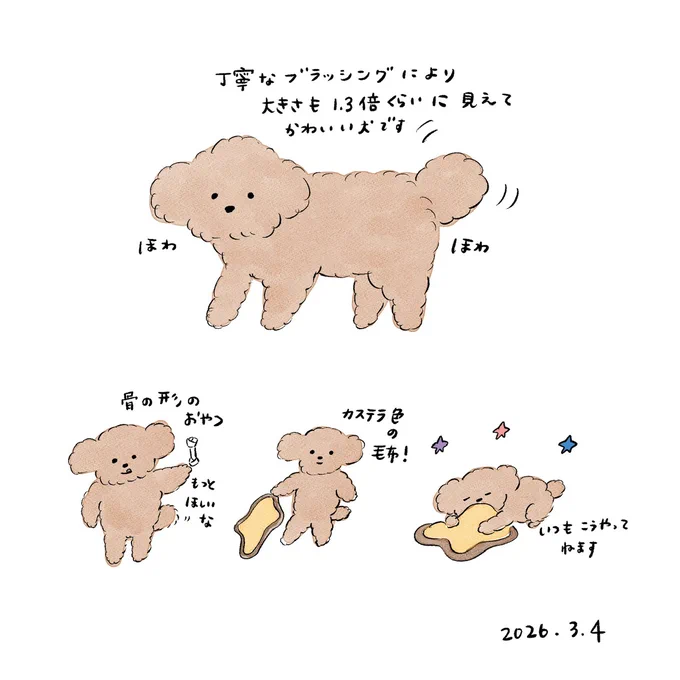 丁寧なブラッシングにより #みみーた 