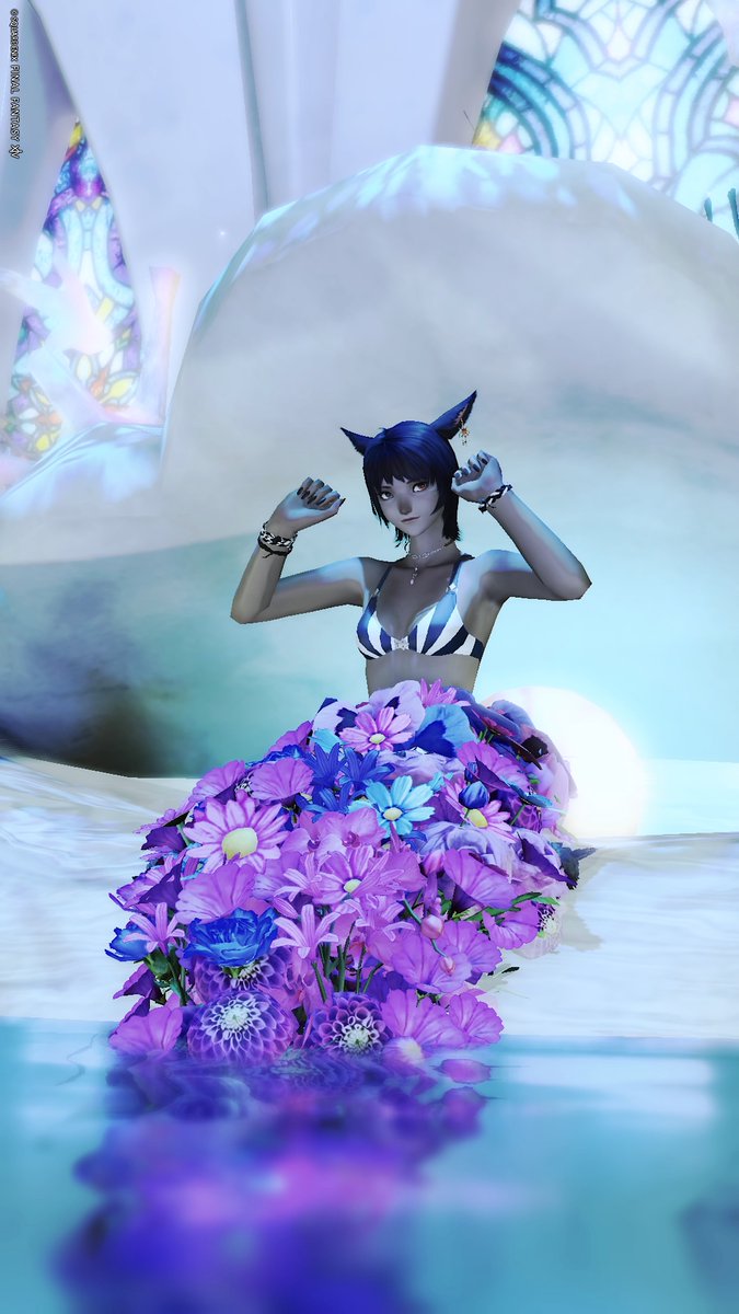 サヤさんぽ tweet media