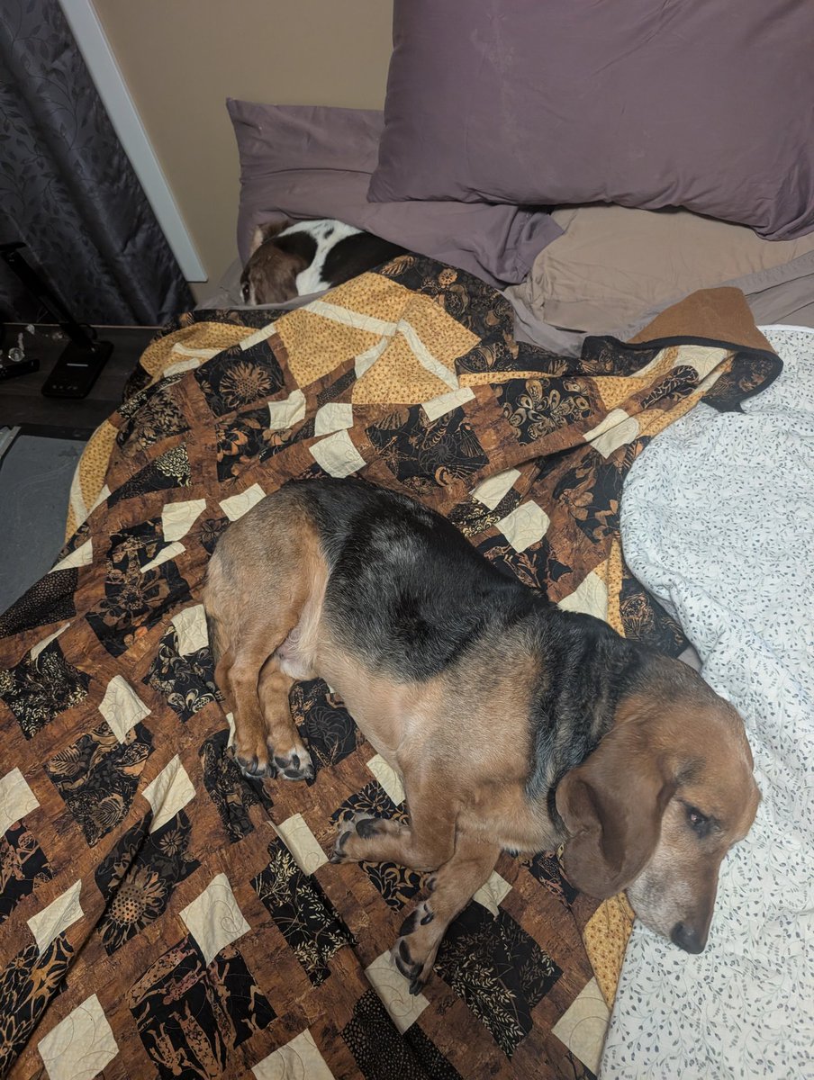 Shaughn.SGT(ret) tweet media