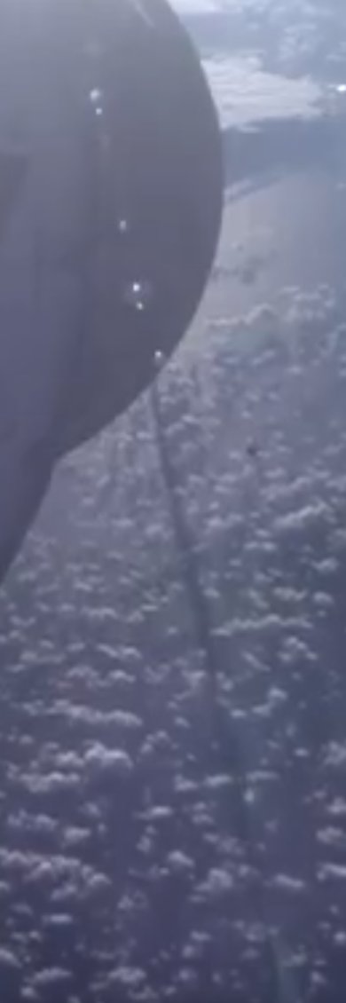 CTFTHEORY tweet media