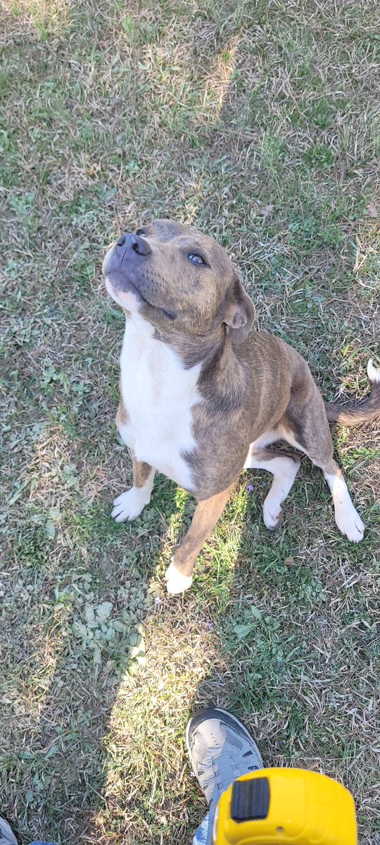 Non-GMO🇺🇸Micmac tweet media