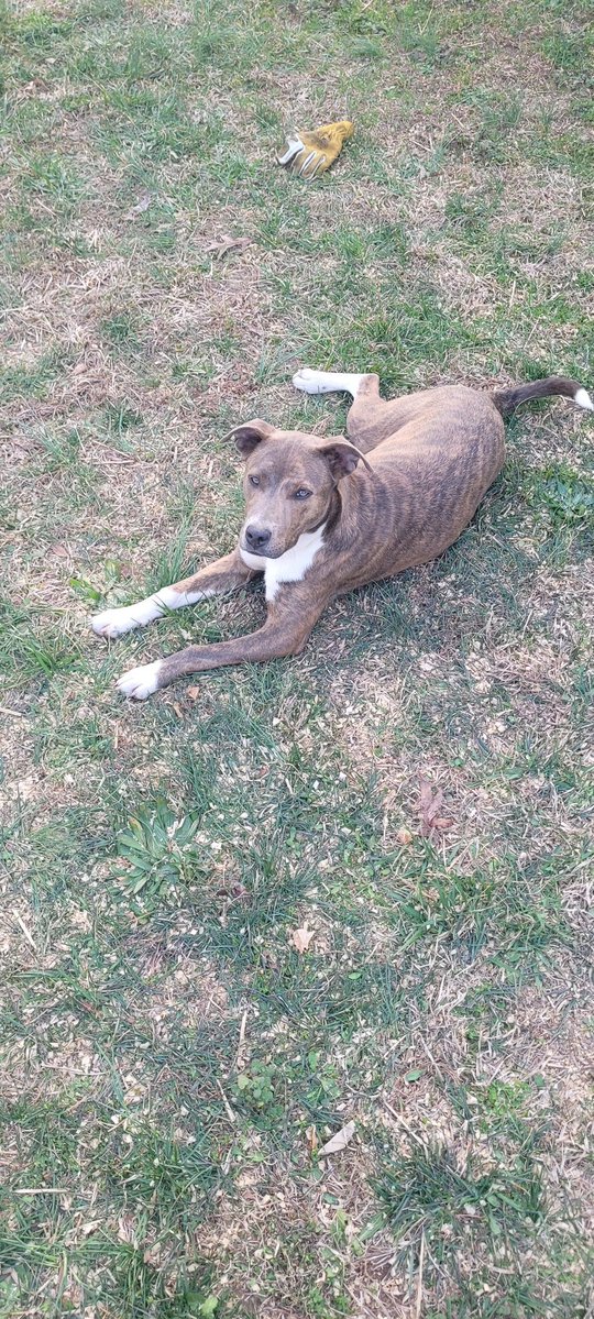 Non-GMO🇺🇸Micmac tweet media