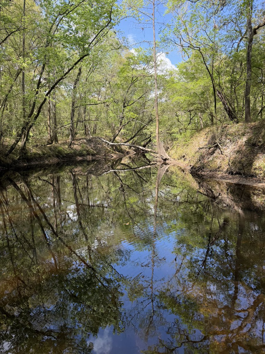 N7Narcosis tweet media