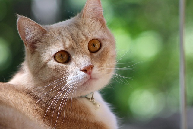 Patrick Lockhart tweet media